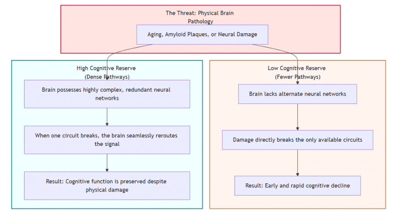 Cognitive Reserve flow