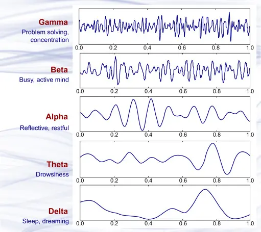 Brain wave samples with dominant frequencies belonging to beta, alpha, theta, and delta bands and gamma waves.