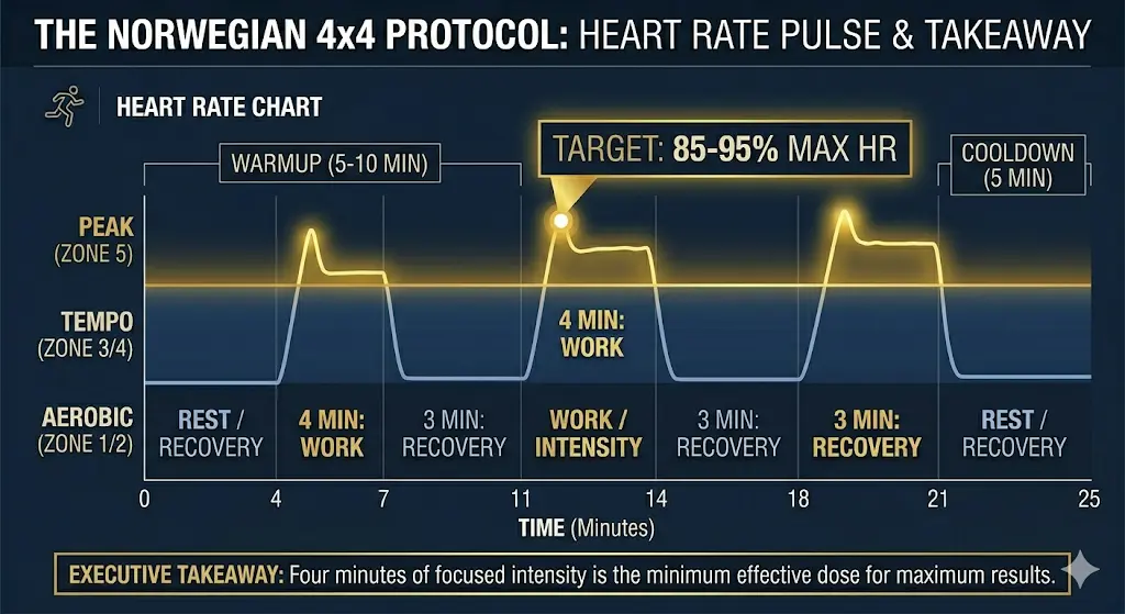 A clean, horizontal line graph titled "The Norwegian 4x4 Protocol: Heart Rate Pulse." The chart is set against a dark navy background. A steady navy line at the bottom represents the 3-minute "Active Recovery" periods. Every 3 minutes, the line spikes into a sharp, glowing gold peak representing the 4-minute "Work" intervals. A prominent call-out box in gold serif font points to the peaks with the text "TARGET: 85–95% MAX HR." The x-axis shows a total duration of approximately 30 minutes, including a 5-minute warm-up and cool-down.