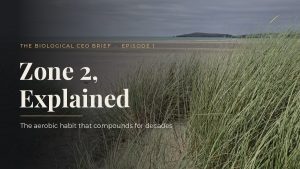 Marram grass on a coastal dune with the title Zone 2, Explained